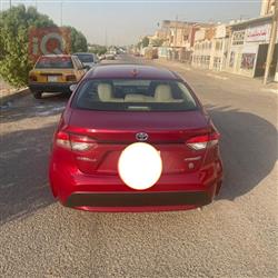 تويوتا كورولا
